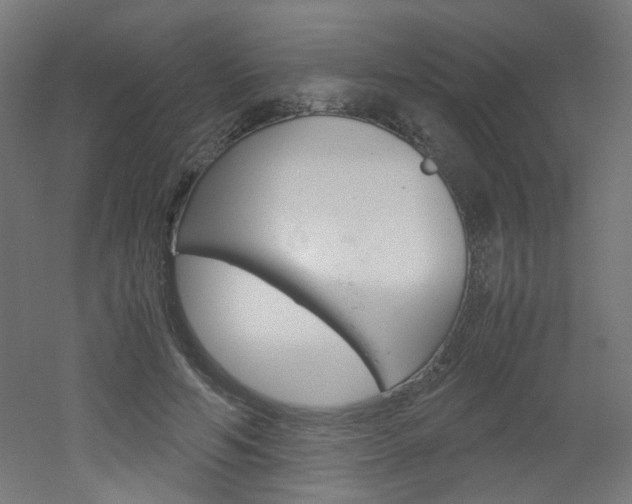 X0000051910594200506241105