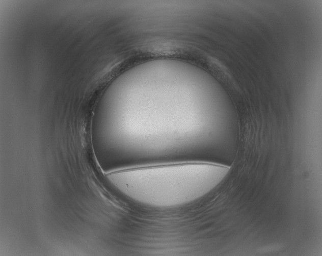X0000051910596200506241105