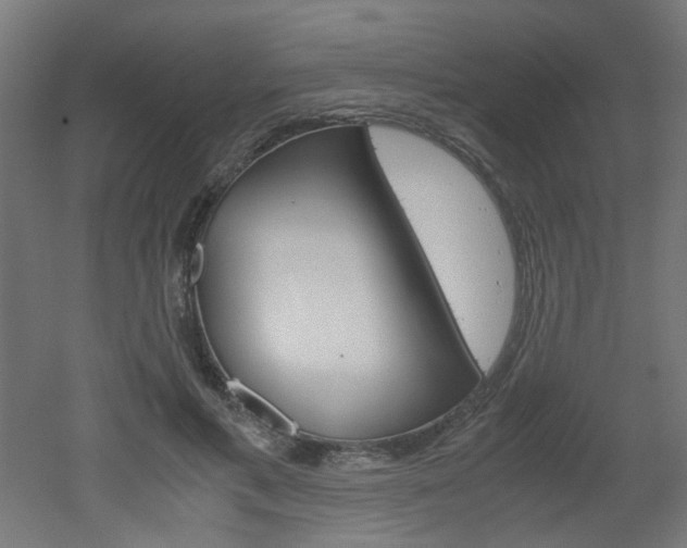 X0000051910597200506241105