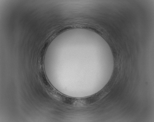 X0000051910599200506241105