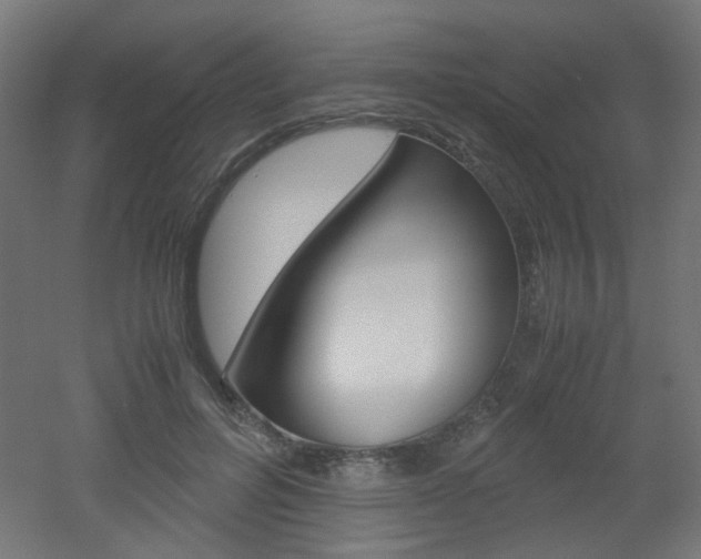 X0000051910600200506241105