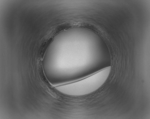 X0000051910601200506241105
