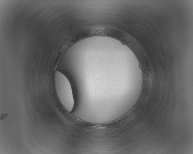 X0000051910602200506241105