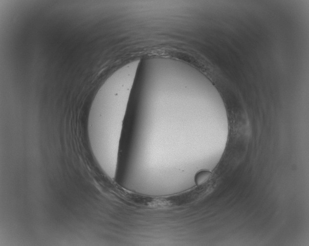 X0000051910603200506241105