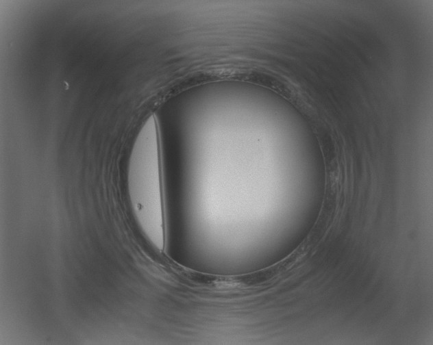 X0000051910605200506241105