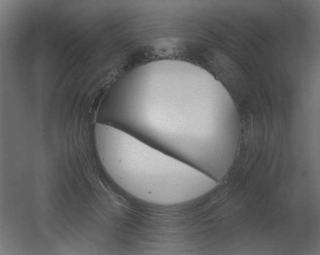 X0000051910606200506241105