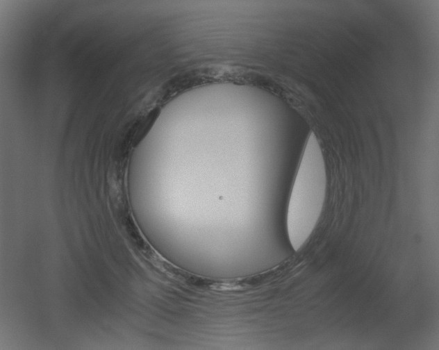X0000051910607200506241105