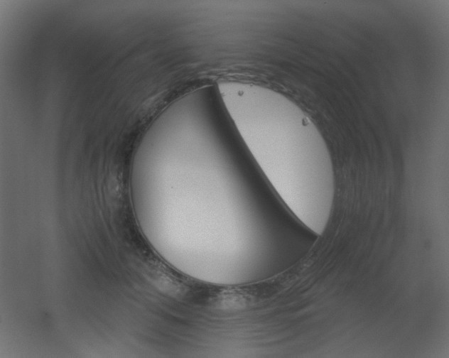 X0000051910608200506241105
