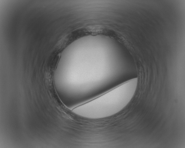 X0000051910609200506241105