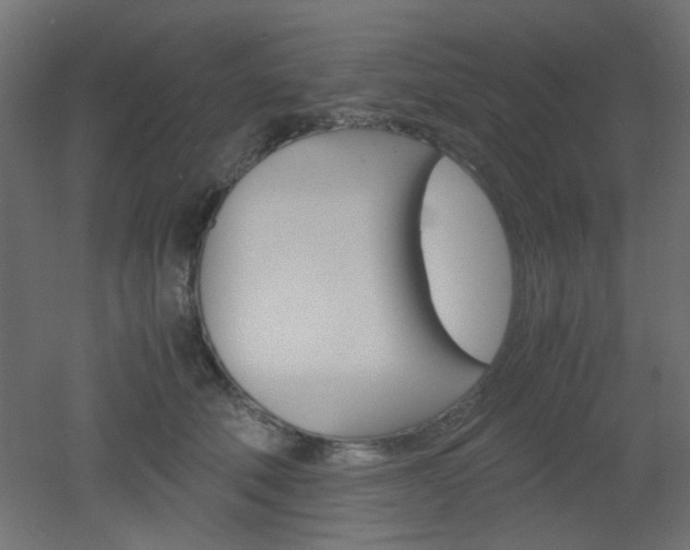 X0000051910610200506241105