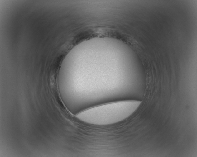 X0000051910611200506241105