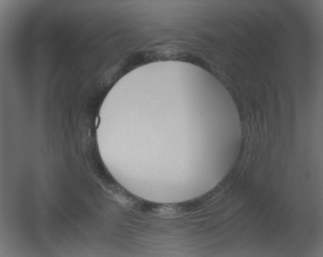 X0000051910615200506241105