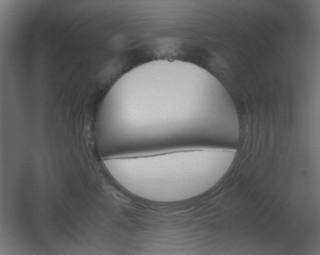 X0000051910619200506241105