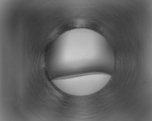 X0000051910620200506241105