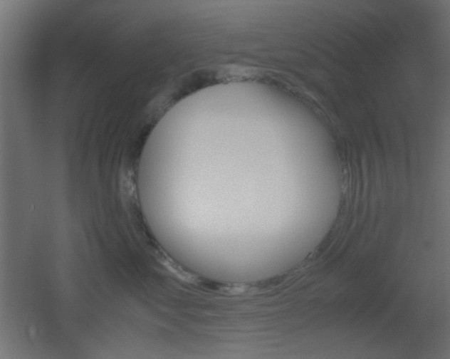 X0000051910621200506241105