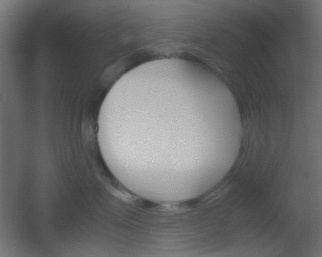 X0000051910623200506241105