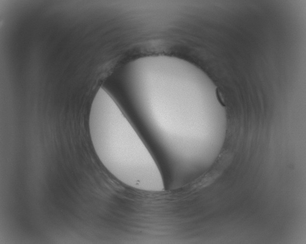 X0000051910624200506241105