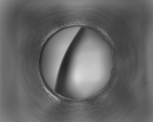 X0000051910625200506241104