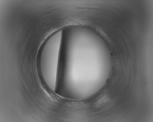 X0000051910626200506241104