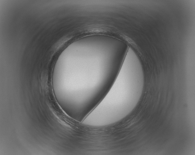 X0000051910627200506241104