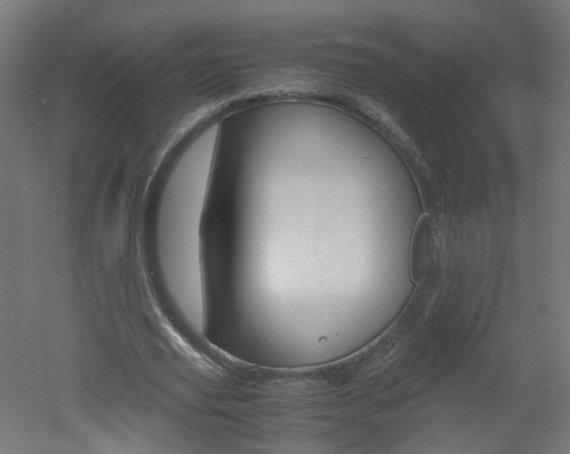 X0000051910629200506241104