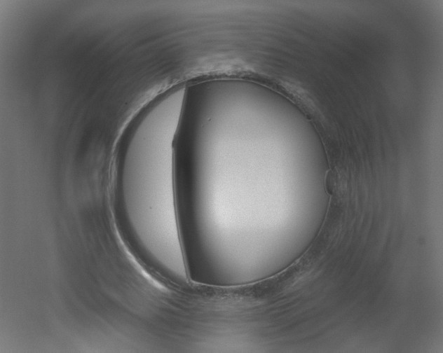 X0000051910630200506241104