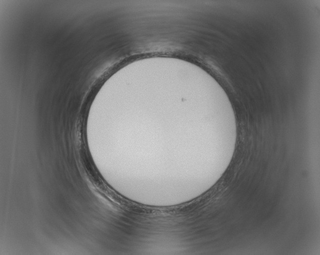 X0000051910632200506241104