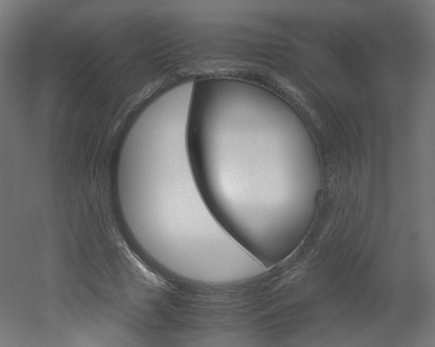 X0000051910633200506241104