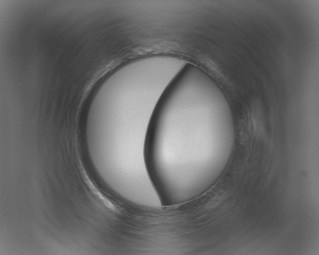 X0000051910634200506241104
