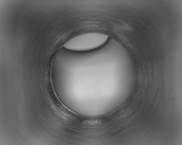 X0000051910639200506241104
