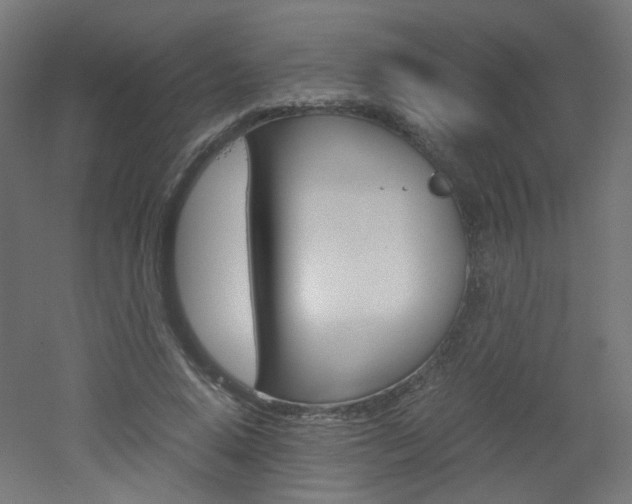 X0000051910640200506241104