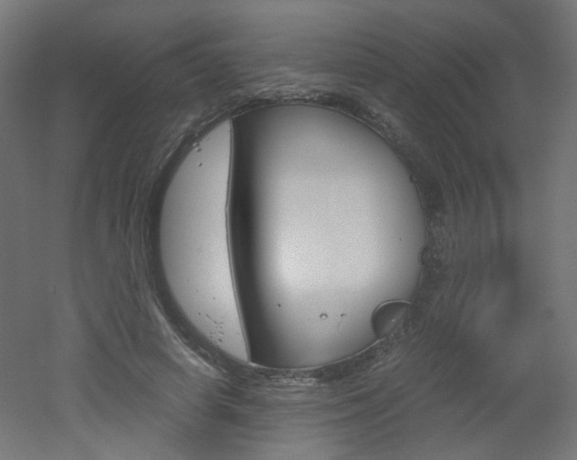 X0000051910642200506241104