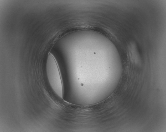 X0000051910643200506241104