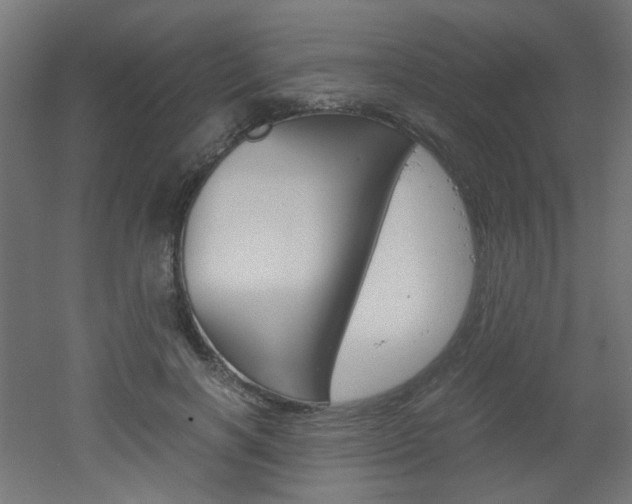 X0000051910646200506241104