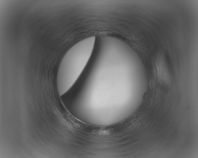X0000051910647200506241104