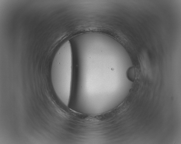 X0000051910648200506241104