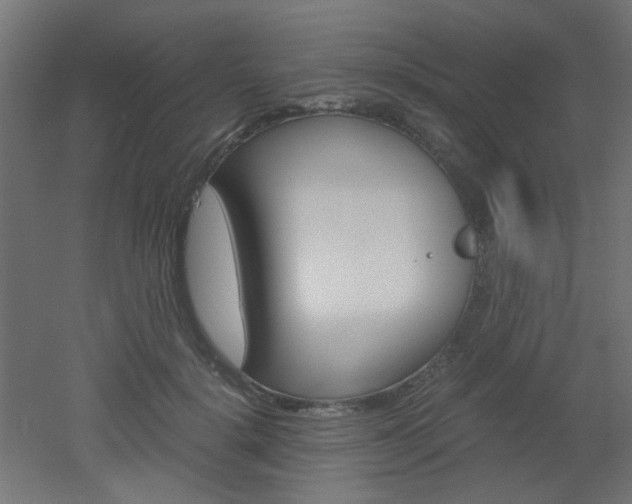 X0000051910652200506241104