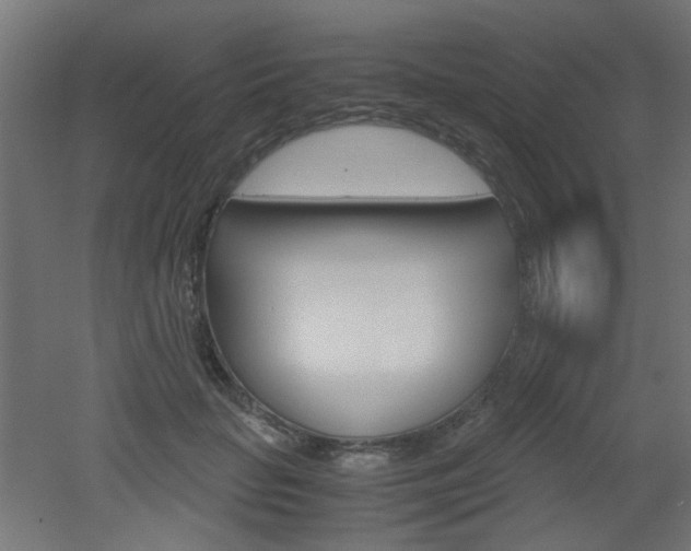 X0000051910653200506241104