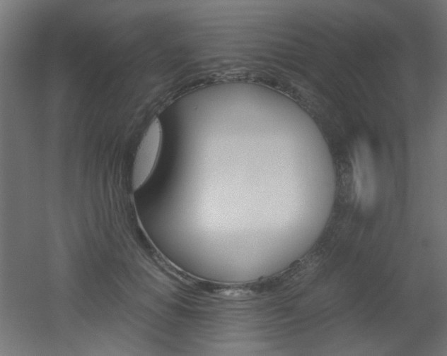 X0000051910654200506241104