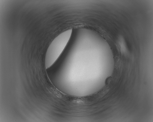 X0000051910655200506241104