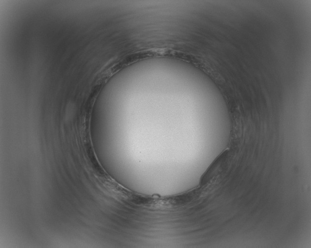 X0000051910656200506241104