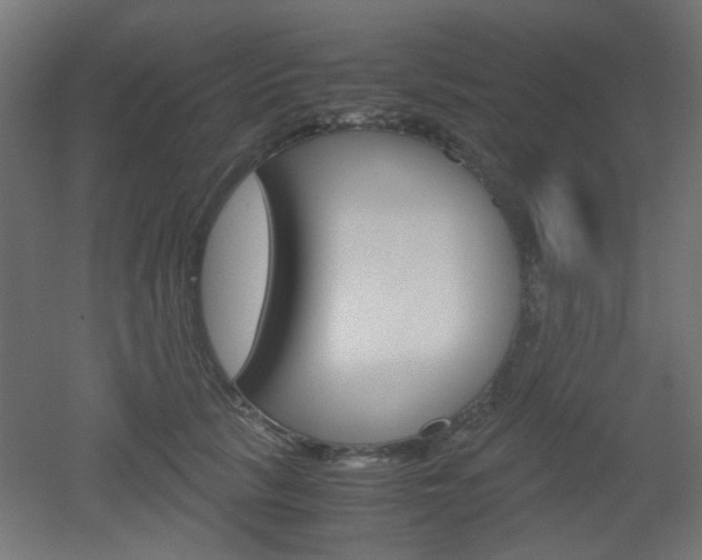 X0000051910657200506241104