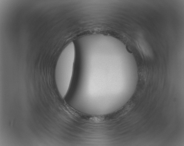 X0000051910660200506241104