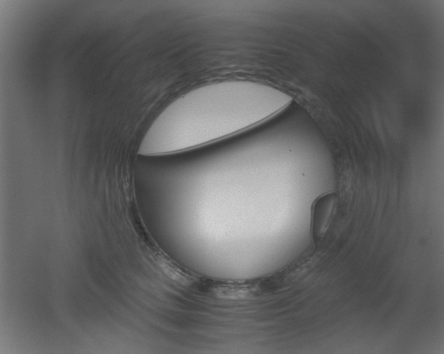 X0000051910661200506241104