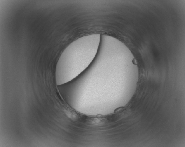 X0000051910663200506241104