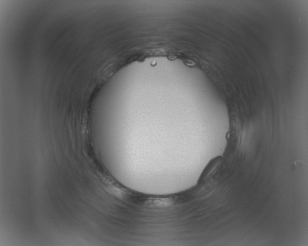 X0000051910665200506241104