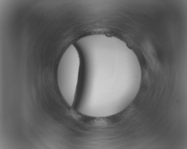 X0000051910668200506241104