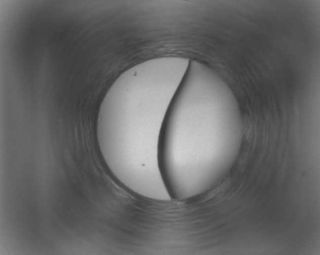 X0000051910670200506241105