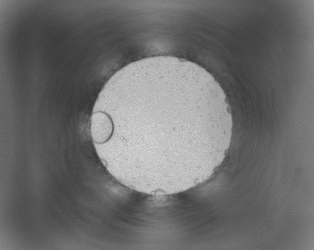X0000051910672200506241105
