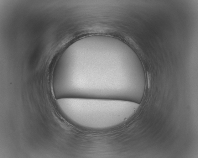 X0000051910675200506241104